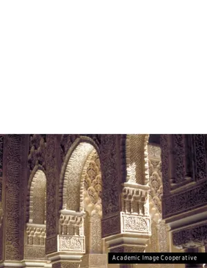 Cover image for AIC Brochure