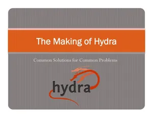 Cover image for The Making of Hydra: Common Solutions for Common Problems